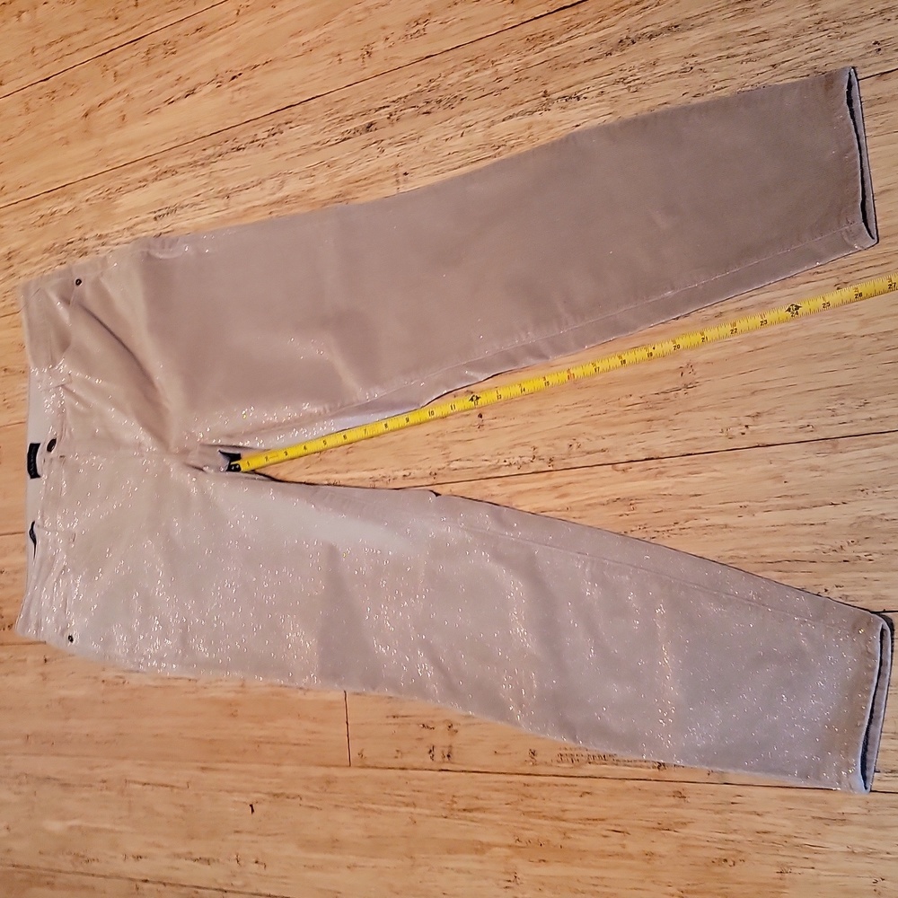 Talbots Shimmery Light Gray Skinny Pants